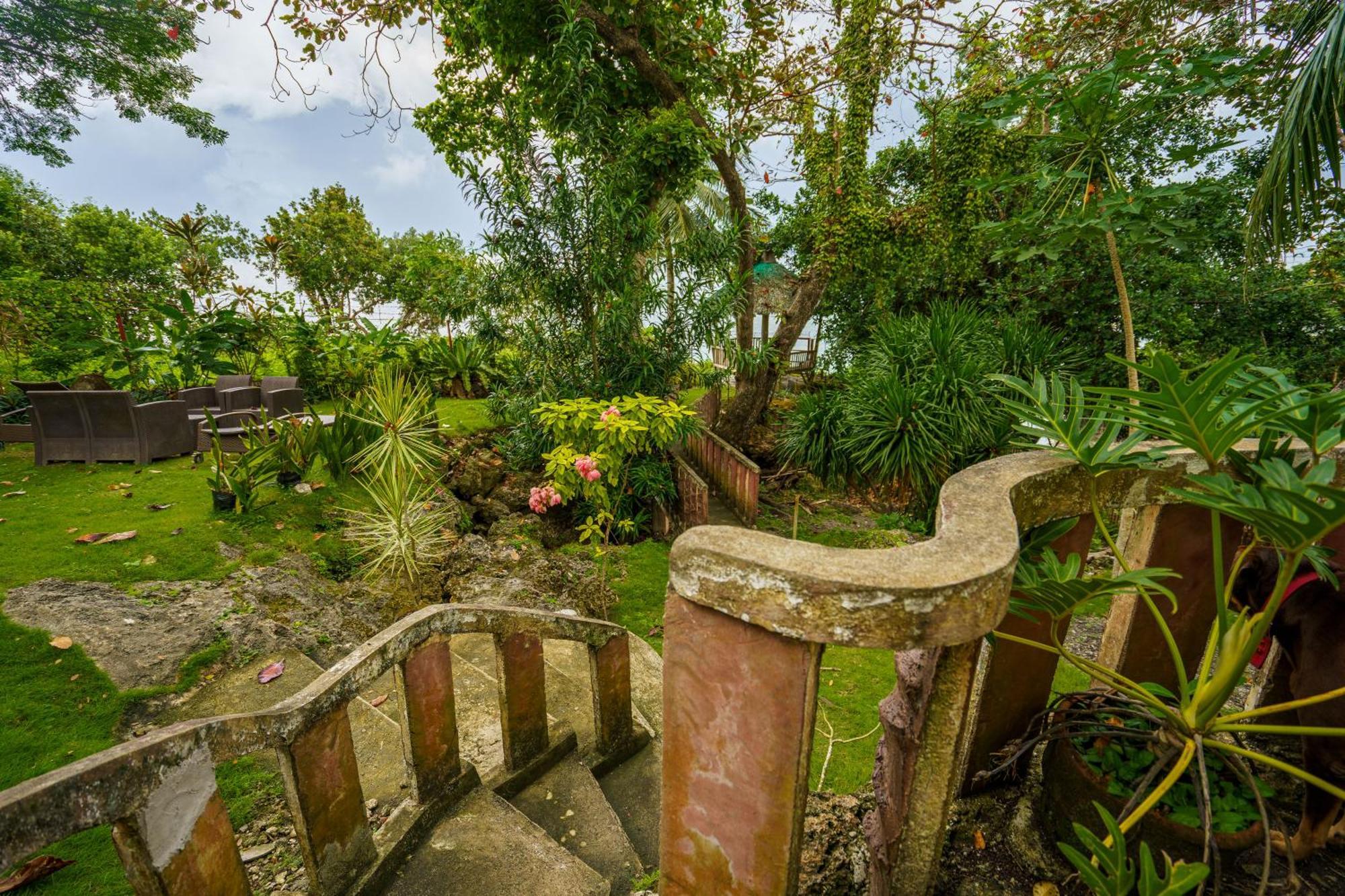 Weyh'S Studio #1 By The Ocean 100Mbps 邦劳 外观 照片