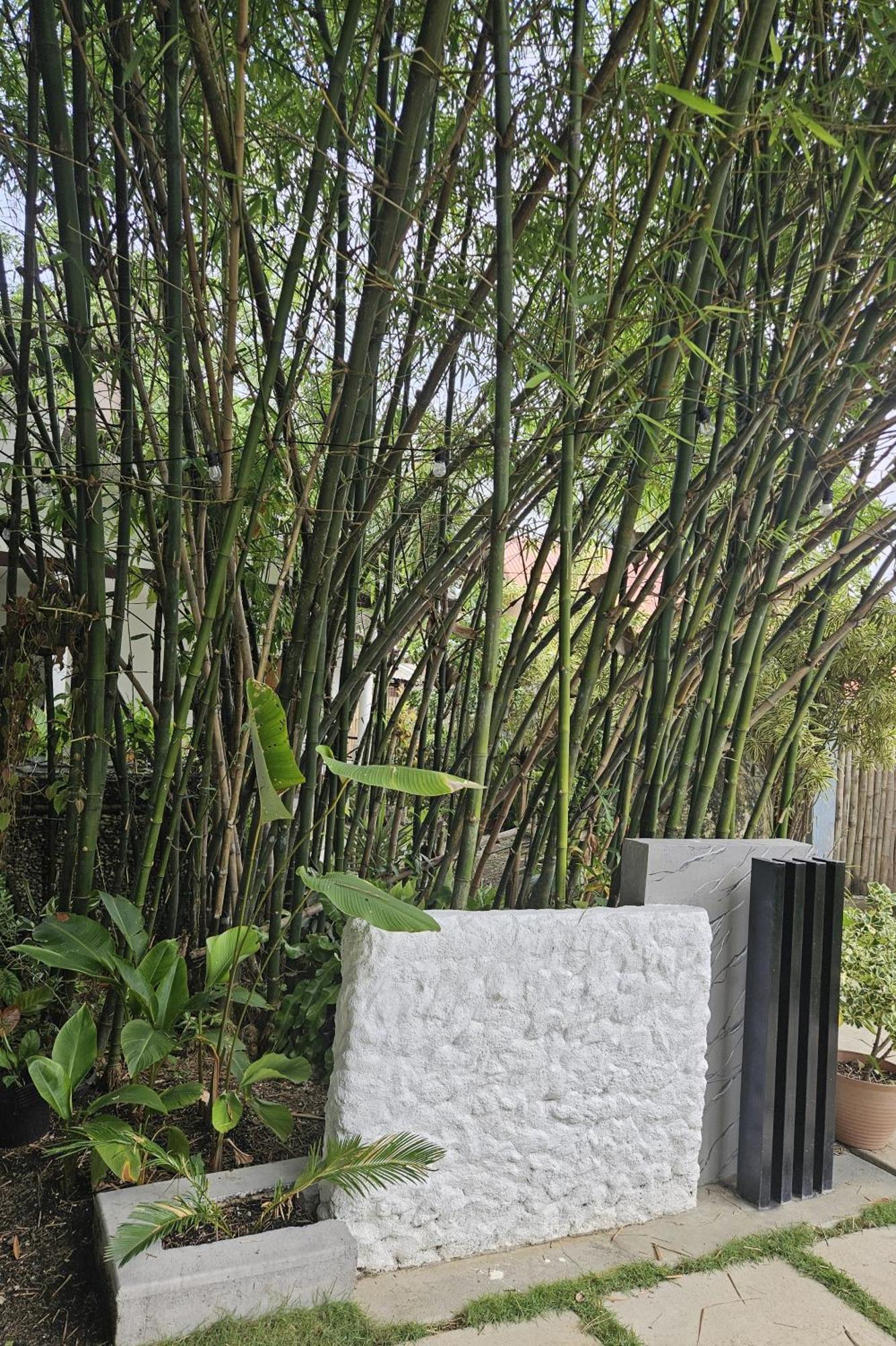 Weyh'S Studio #1 By The Ocean 100Mbps 邦劳 外观 照片